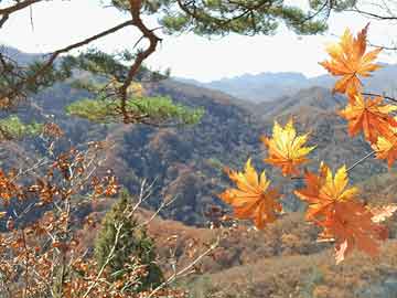 邱曉華：央行加入到呵護(hù)和支持助力資本市場(chǎng)行列